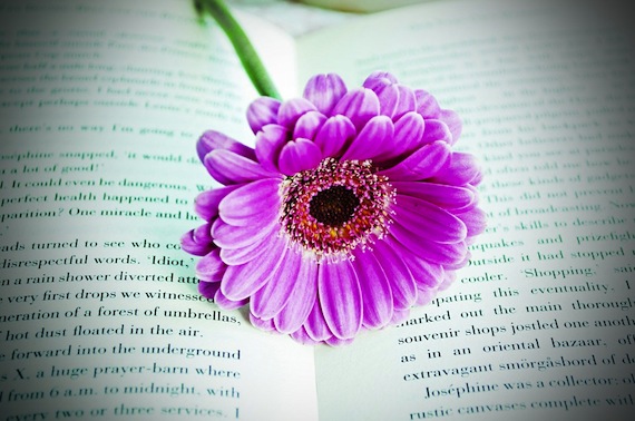 flowerbook