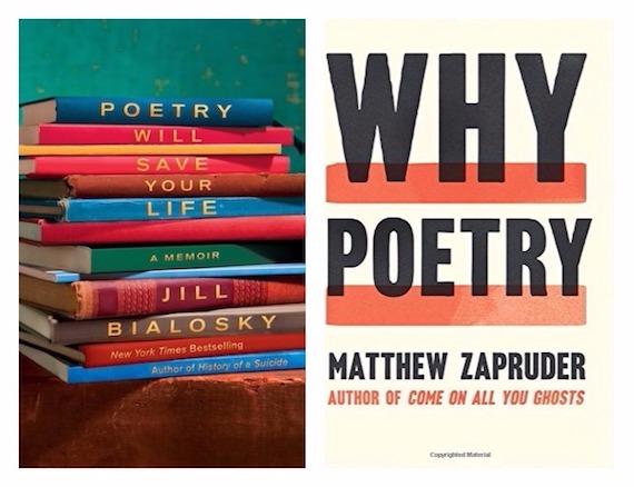 Think What a Poem Might Do: A Conversation with Jill Bialosky and ...